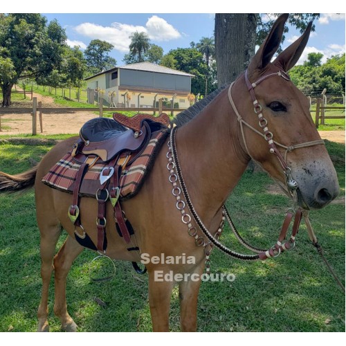 Kit Traia Para Cavalos Rédea Cabeçada De Cordinha E Bridão D - Selaria  Cavalgada - As melhores selas e artigos para montaria