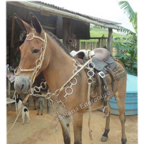 Traia De Frente Rosa Argolada Para Mula e Cavalo couro Leg
